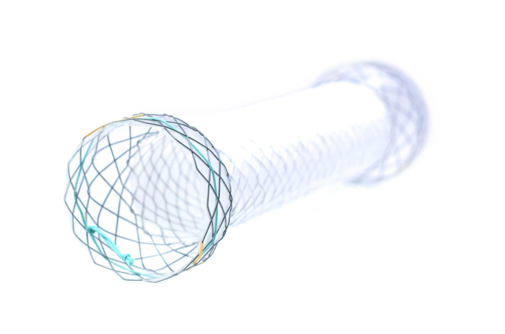 Hilzo Covered Oesophageal Stent