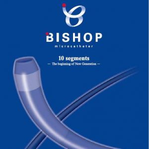 Bishop Microcatheter